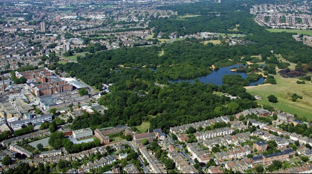 epping forest3